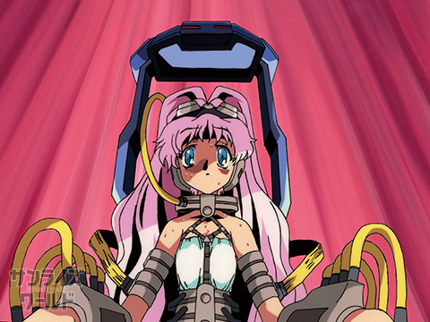 紗孔羅