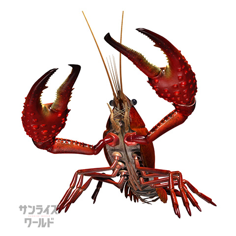 ザリガニ